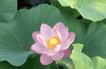 盤(pán)錦水處理設(shè)備廠(chǎng)家有哪些水處理設(shè)備產(chǎn)品